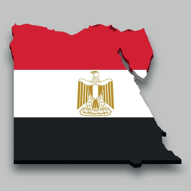 3d isometric map of egypt with national flag
